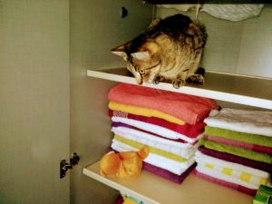 Neuer Schrank
