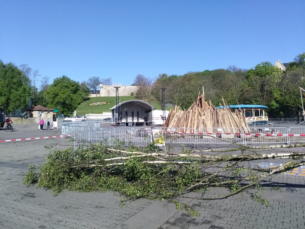 Maibaum Erfurt Domplatz Junge Birke Tanz in den Mai Walpurgisnacht