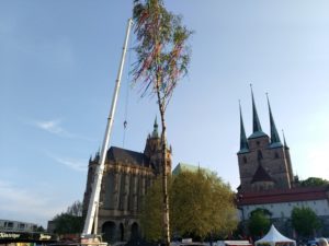 Das Maibaumsetzen Erfurt Domplatz 2019 - Erfurter Maibum zu Tanz in den Mai Erfurt