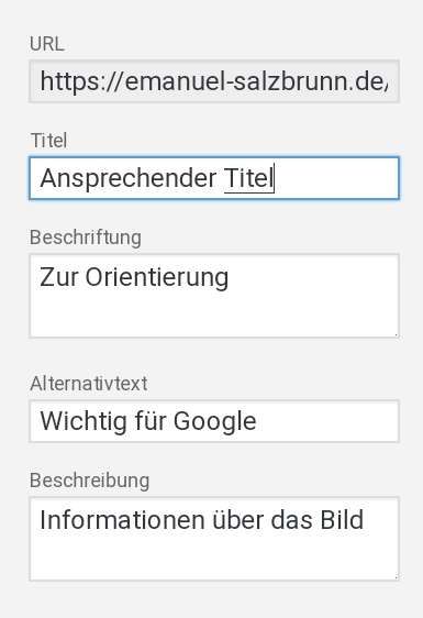Bild Optimierung WordPress - ALTERNATIVTEXT, TITEL, BESCHREIBUNG & BESCHRIFTUNG